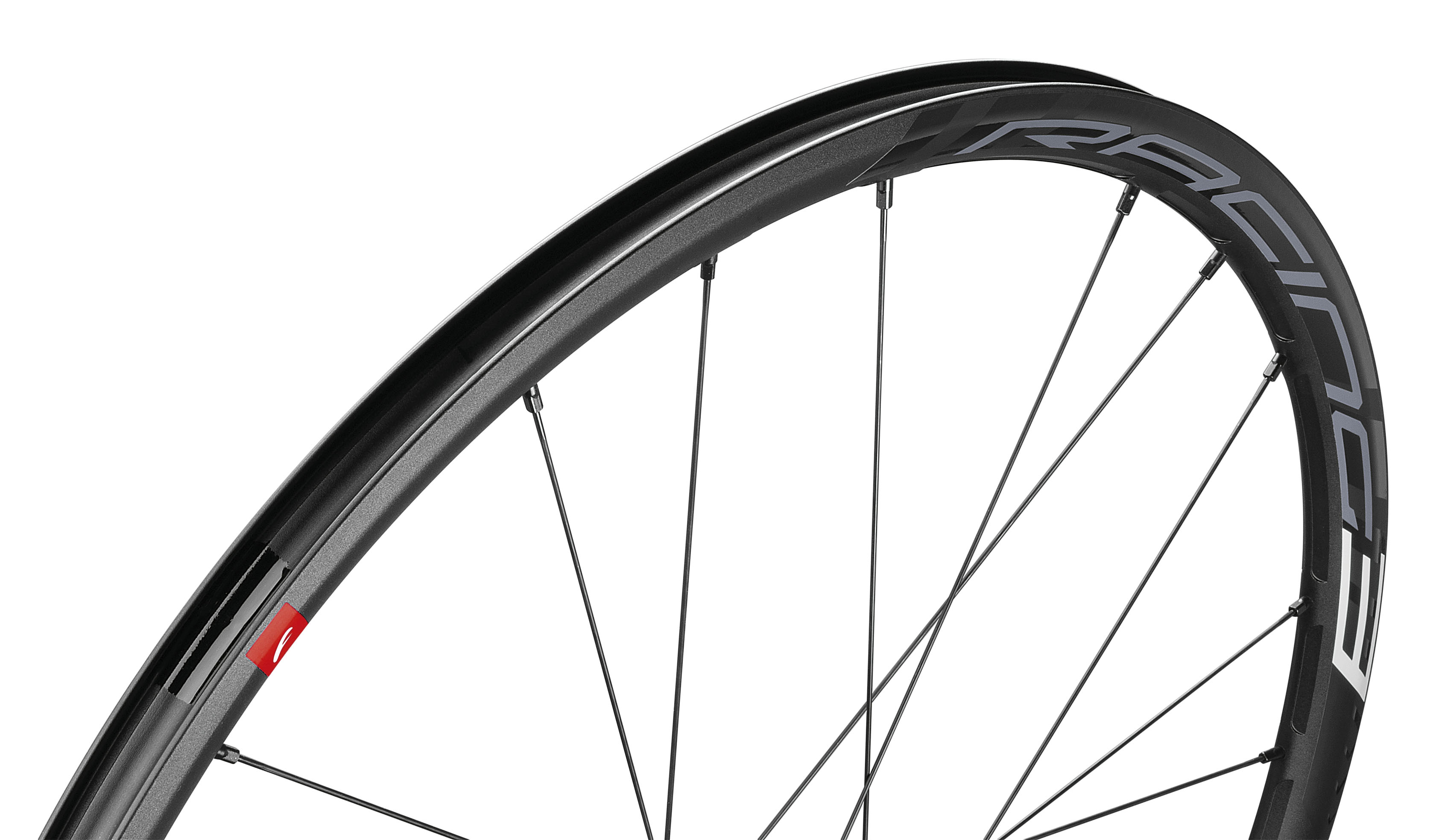 Fulcrum