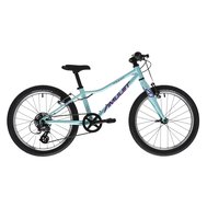 Amulet Tomcat 20 2023 Celeste Blue