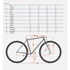 Geometrie
