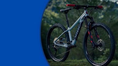 Orbea
