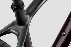 Orbea