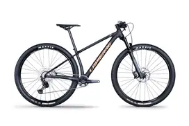 Pro Race
