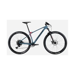 kolo MTB Lapierre ProRace CF 5.9 grey 2023